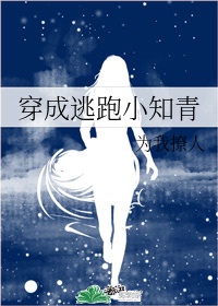 欧美美女bb