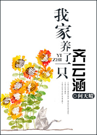 立花瑠璃中文字幕在线