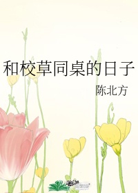 百花影视传媒