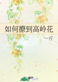 《将军在上》全集免费观看