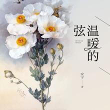 天才风水师