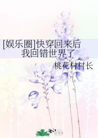 超级捡漏王txt下载