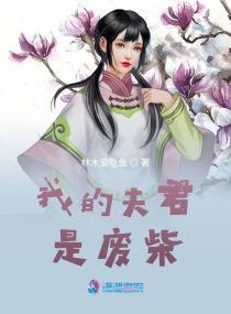 侠女叶婉霓的沉沦后续