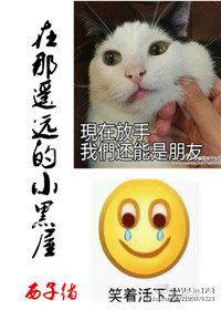 小色子哥青涩网