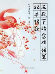 傻儿师长