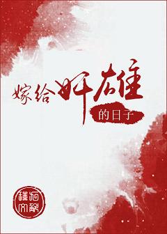 杨家将后传