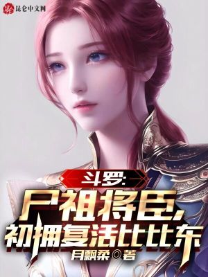 婢女系列h