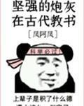 日本无卡有线v二区