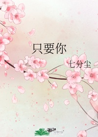 紫龙插花芯