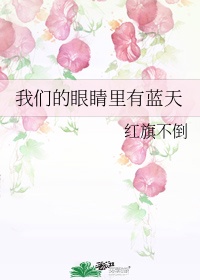 公么和离夏全58章