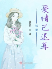 傻儿师长