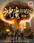 宝可梦新无印免费观看中文版