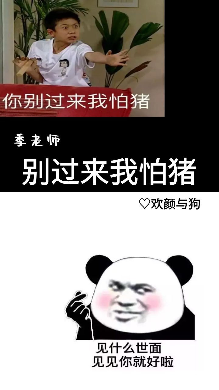 无影无踪软件