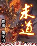 shemalejapan中文介绍