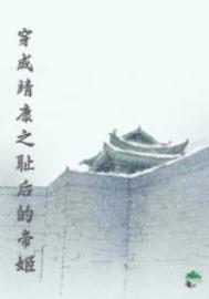 杨家将后传