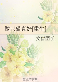 阴阳先生之末代天师