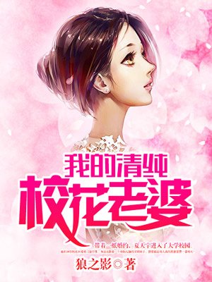 宝可梦新无印免费观看中文版