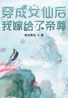 师兄请按剧本来漫画免费