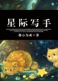 信长之野望13威力加强版