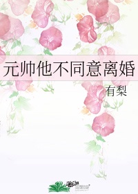 老师的蕾丝内裤都湿透了