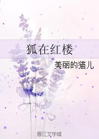 爱情公寓h版大后宫