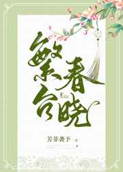 傻儿师长