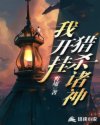 宝可梦新无印免费观看中文版