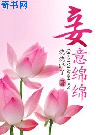 龚玥菲版金瓶1一5集