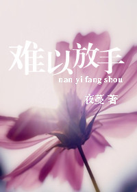 达芬奇密码h版