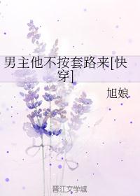 公么和离夏全58章