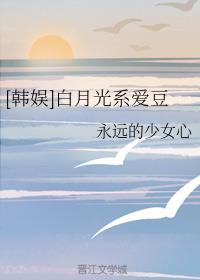 星空传媒高清免费观看