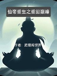 翻译官在线观看免费