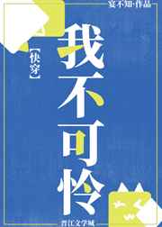 大时代里的小军阀