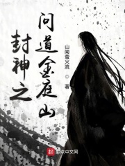 村光无限美完整版