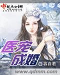 陈扬绝世高手正版