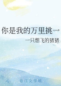 风流寡妇小说全集阅读