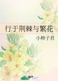 桃花运直播