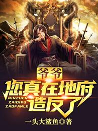 GARY东北打桩机无套2024