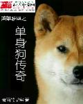 犬夜叉头像图