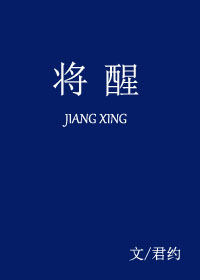 杨家将后传