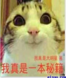 一夜贪欢总裁别太猛全文免费