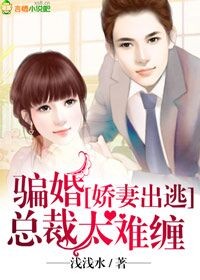 《女律师的堕落》高清在线观看