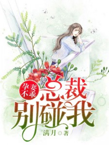 公么和离夏全58章