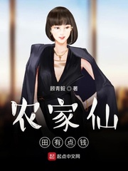 格子间女人小说