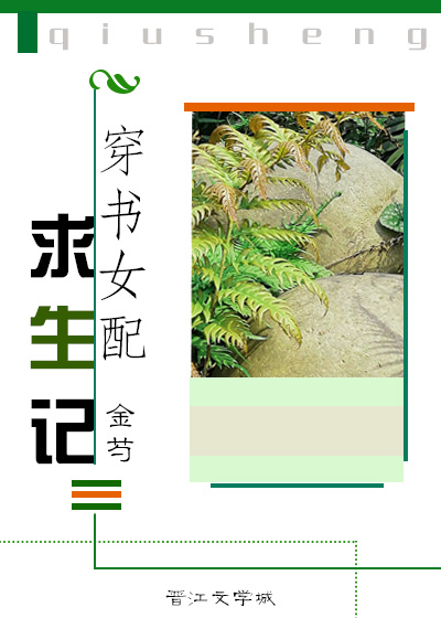 加勒比海盗6在线观看