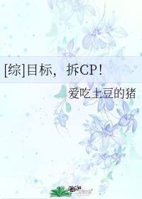 罪恶六芒星免费观看完整版