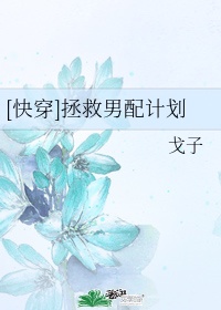 师途顾长忆攻略