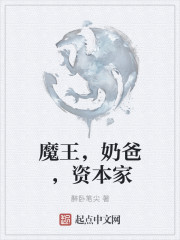 傻儿师长