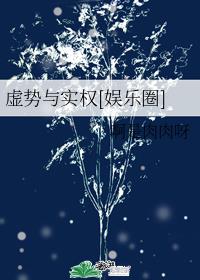 傻儿师长