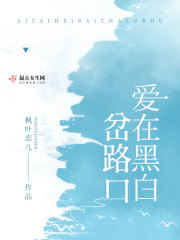 飞机场是什么意思